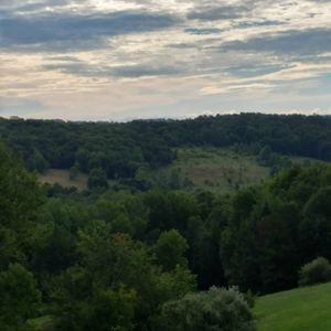 Meet your Posher, Pamela